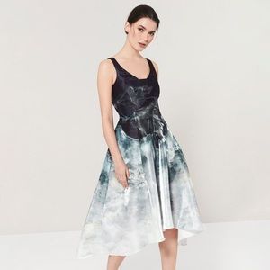 Coast Bella Midi Printed Dress - Limited Edition